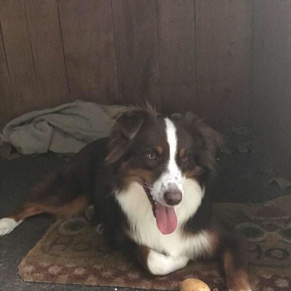 Meet your Posher, Michelle - Picture 1 of 1